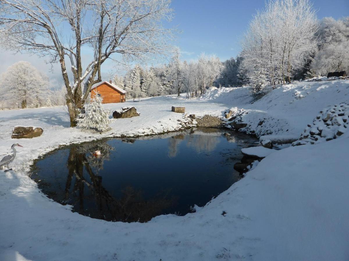 Вилла Wild Life Ranch Schofweg Экстерьер фото